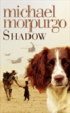 SHADOW