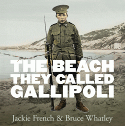 BEACH THEY CALLED GALLIPOLI, THE