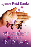 SECRET OF THE INDIAN, THE
