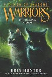 RAGING STORM, THE