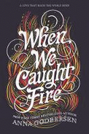 WHEN WE CAUGHT FIRE