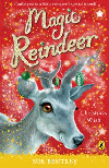 CHRISTMAS WISH, A