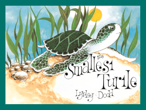 SMALLEST TURTLE, THE
