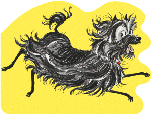 ALL ABOUT HAIRY MACLARY BOARD BOOK