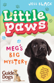 MEG'S BIG MYSTERY