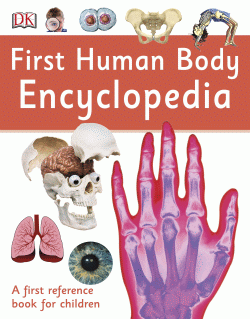 FIRST HUMAN BODY ENCYCLOPEDIA