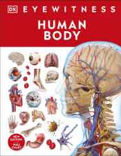 HUMAN BODY