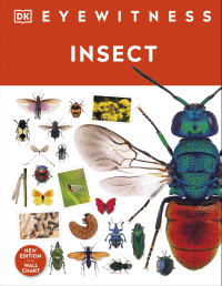 INSECT