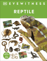 REPTILE