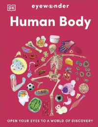 HUMAN BODY