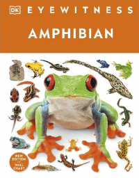 AMPHIBIAN