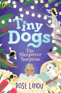 SLEEPOVER SURPRISE