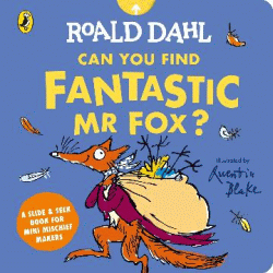 CAN YOU FIND FANTASTIC MR FOX? BOARD BOOK