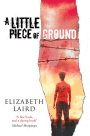 LITTLE PIECE OF GROUND, A