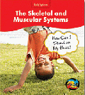 SKELETON AND MUSCLE SYSTEM, THE