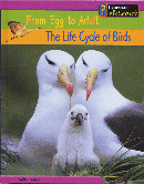 LIFE CYCLE OF BIRDS, THE