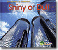 SHINY AND DULL