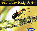 MINIBEAST BODY PARTS