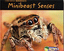 MINIBEAST SENSES