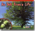 AN OAK TREE'S LIFE
