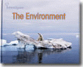 ENVIRONMENT, THE