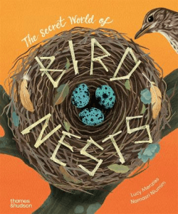 SECRET WORLD OF BIRD NESTS, THE