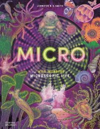 MICRO