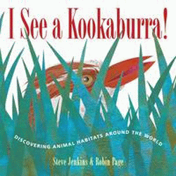 I SEE A KOOKABURRA!