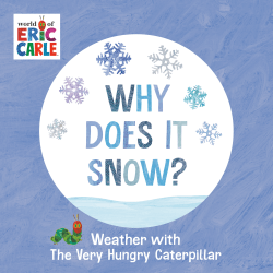 WHY DOES IT SNOW? BOARD BOOK