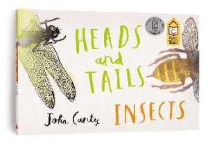 HEADS AND TAILS: INSECTS