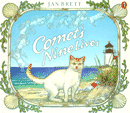 COMET'S NINE LIVES