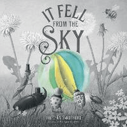 IT FELL FROM THE SKY