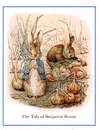 PETER RABBIT POSTER SET, THE