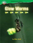 GLOW WORMS