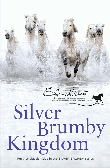 SILVER BRUMBY KINGDOM
