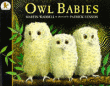 OWL BABIES