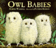 OWL BABIES BOARD BOOK