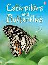 CATERPILLARS AND BUTTERFLIES