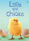 EGGS AND CHICKS