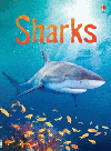 SHARKS
