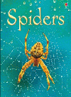 SPIDERS