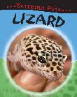 LIZARD