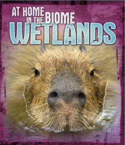 WETLANDS