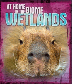 WETLANDS