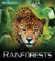 RAINFORESTS