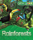 RAINFOREST