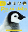 POLAR LANDS