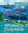 WHALES AND DOLPHINS