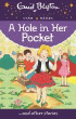 HOLE IN HER POCKET AND OTHER STORIES, THE