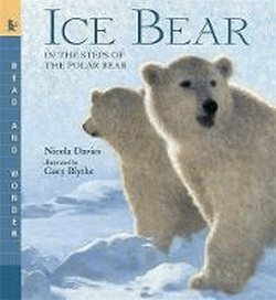 ICE BEAR